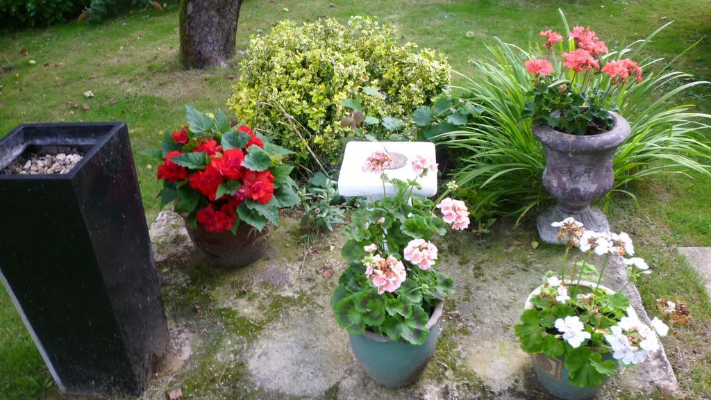 Hopewell Self-Catering Διαμέρισμα Γκρέιβσεντ Εξωτερικό φωτογραφία
