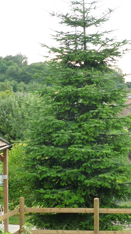 Hopewell Self-Catering Διαμέρισμα Γκρέιβσεντ Εξωτερικό φωτογραφία